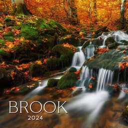 Brook 2024 - Underwater Sound