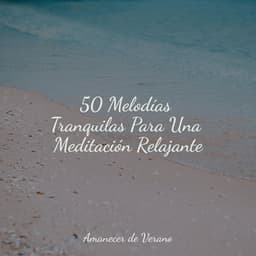 50 Melodías Tranquilas Para Una Meditación Relajante - Guitarra Clásica Española