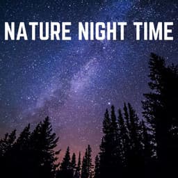 Nature Night Time - Weather Sounds