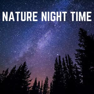 Nature Night Time - Weather Sounds