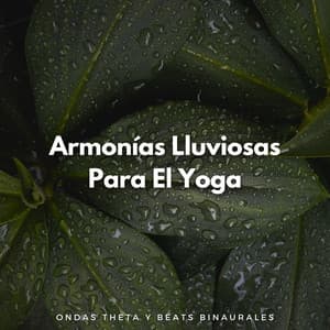 Armonías Lluviosas Para El Yoga: Ondas Theta Y Beats Binaurales - Guía Binaural