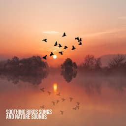Soothing Birds Songs and Nature Sounds: Deeply Relaxing Nature Music, Stress Relieving Collection - Exotic Nature Kingdom