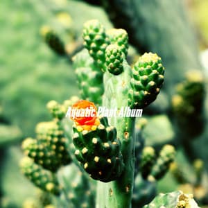 Aquatic Plant Album - Musica per Cucinare