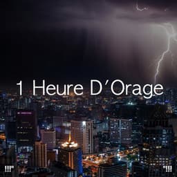 !!!" 1 heure d'orage "!!! - Thunderstorm Sound Bank