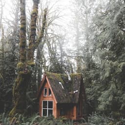 Sounds of Sleep | Meditation & Yoga Therapy - The Sleep Helpers