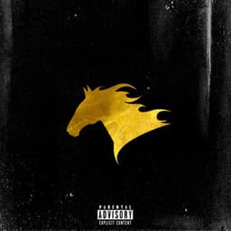 The Big Horse - Nym Lo