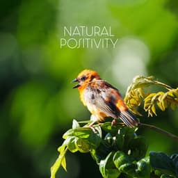 Natural Positivity: Lowering Stress Birds & Nature Sounds - Relaxing Nature Sounds Collection