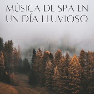 Música De Spa En Un Día Lluvioso - Experiencia de sonido de lluvia