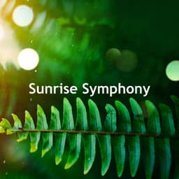 Sunrise Symphony - Sounds of Nature for Deep Sleep and Relaxation