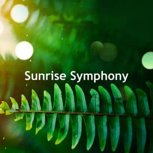 Sunrise Symphony - Sounds of Nature for Deep Sleep and Relaxation