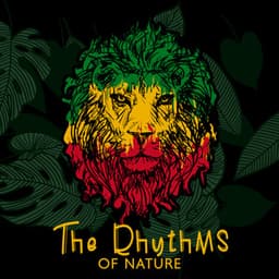 Soulful Reggae Journeys: Chronicles of Roots Resonance - Cuban Latin Collection