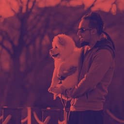 Guitar Jazz - Background for Roaring Pups - Doggy Relaxing Sounds