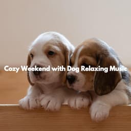 Cozy Weekend with Dog Relaxing Music - Klassischer Jazz