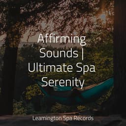 Affirming Sounds | Ultimate Spa Serenity - Binaural Beats Brain Waves Isochronic Tones Brain Wave Entertainment