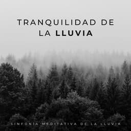 Tranquilidad De La Lluvia: Sinfonía Meditativa De La Lluvia - Relajación Lluvia Meditación