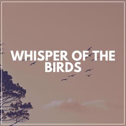 Whisper of the Birds - Weather and Nature Recordings