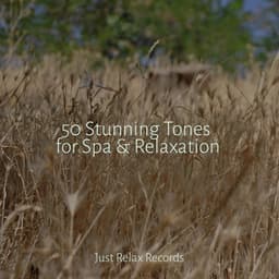 50 Stunning Tones for Spa & Relaxation - Rockabye Lullaby