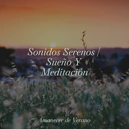 Sonidos Serenos | Sueño Y Meditación - Meditation