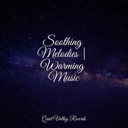 Soothing Melodies | Warming Music - Tonal Meditation Collective