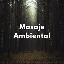 Masaje Ambiental: Armonía Entre Pájaros Y Chaparrones - Cascada de Lluvia