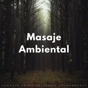 Masaje Ambiental: Armonía Entre Pájaros Y Chaparrones - Cascada de Lluvia