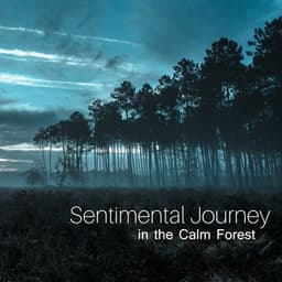Sentimental Journey in the Calm Forest - Nature Collection