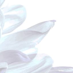 10 Hours White Noise: Peaceful Tides - Focus Noise