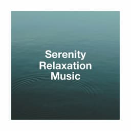 Serenity Relaxation Music - Relaxation Study Music