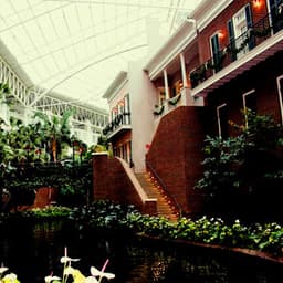 Opryland Hotel Ambiance with Waterfalls and Passer-bys - Sleep Baby Sleep