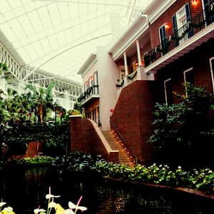 Opryland Hotel Ambiance with Waterfalls and Passer-bys - Sleep Baby Sleep