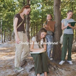 Study in the Rainforest - Rain Palace