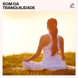 Som da Tranquilidade - Música de Meditação