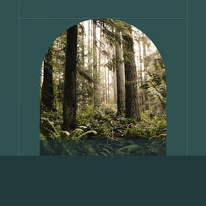 Background Music - Coffee Time - Música Alegre para Cafe