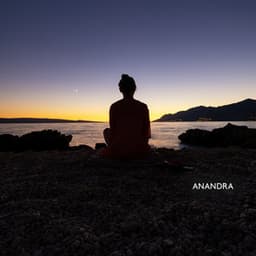 Pool of Consciousness: Echoes Through the Sophrology Spectrum - Anandra