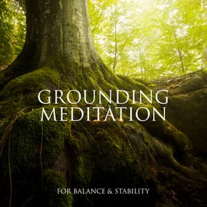 Grounding Meditation for Balance & Stability, Root Chakra Activation, Nature Connection - Chakra Balancing Music Oasis
