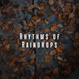 Rhythms of Raindrops: Blissful Spa with Water and Chill Music - Relax Rain