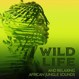 Wild Life and Relaxing African Jungle Sounds: Sound Effect for African Therapy, Mindfulness and Relaxation - Sound Effects Zone