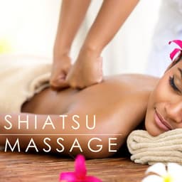 Shiatsu Massage - Asian Japanese Background Music with Sounds of Nature - Asian Silence Duo