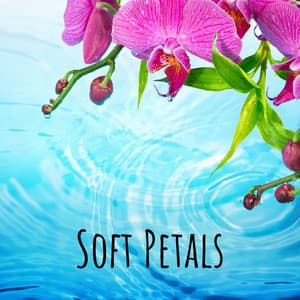 Soft Petals - Selective Sounds PTA