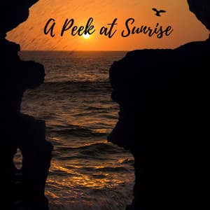 A Peek at Sunrise - Selective Sounds PTA