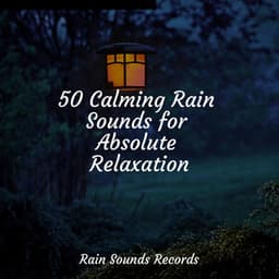 50 Calming Rain Sounds for Absolute Relaxation - Bird Sounds