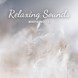 White Noise: Relaxing Sounds - White Noise Sleep Therapy