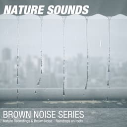 Nature Recordings & Brown Noise - Raindrops on roofs - Nature Noises