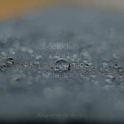 Melodías Reconfortantes De La Naturaleza | Relajación - Ambiente