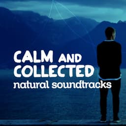Calm and Collected: Natural Soundscapes - Forest Sounds Relaxing Spa Music Singing Birds