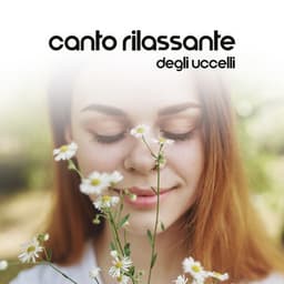 Canto rilassante degli uccelli - Musica terapeutica naturale