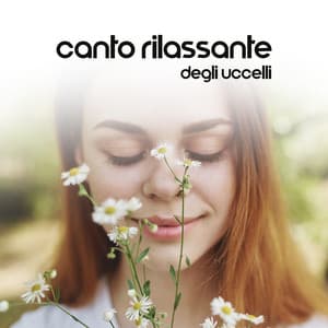 Canto rilassante degli uccelli - Musica terapeutica naturale