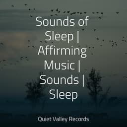 Sounds of Sleep | Affirming Music | Sounds | Sleep - Lush Rain Creators