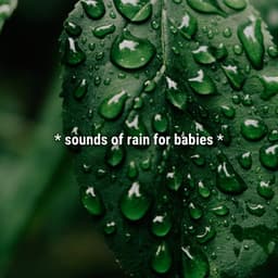 * sounds of rain for babies * - Sound Effects Library