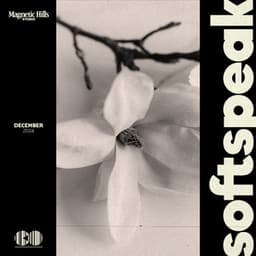 Softspeak - Meditation Zone